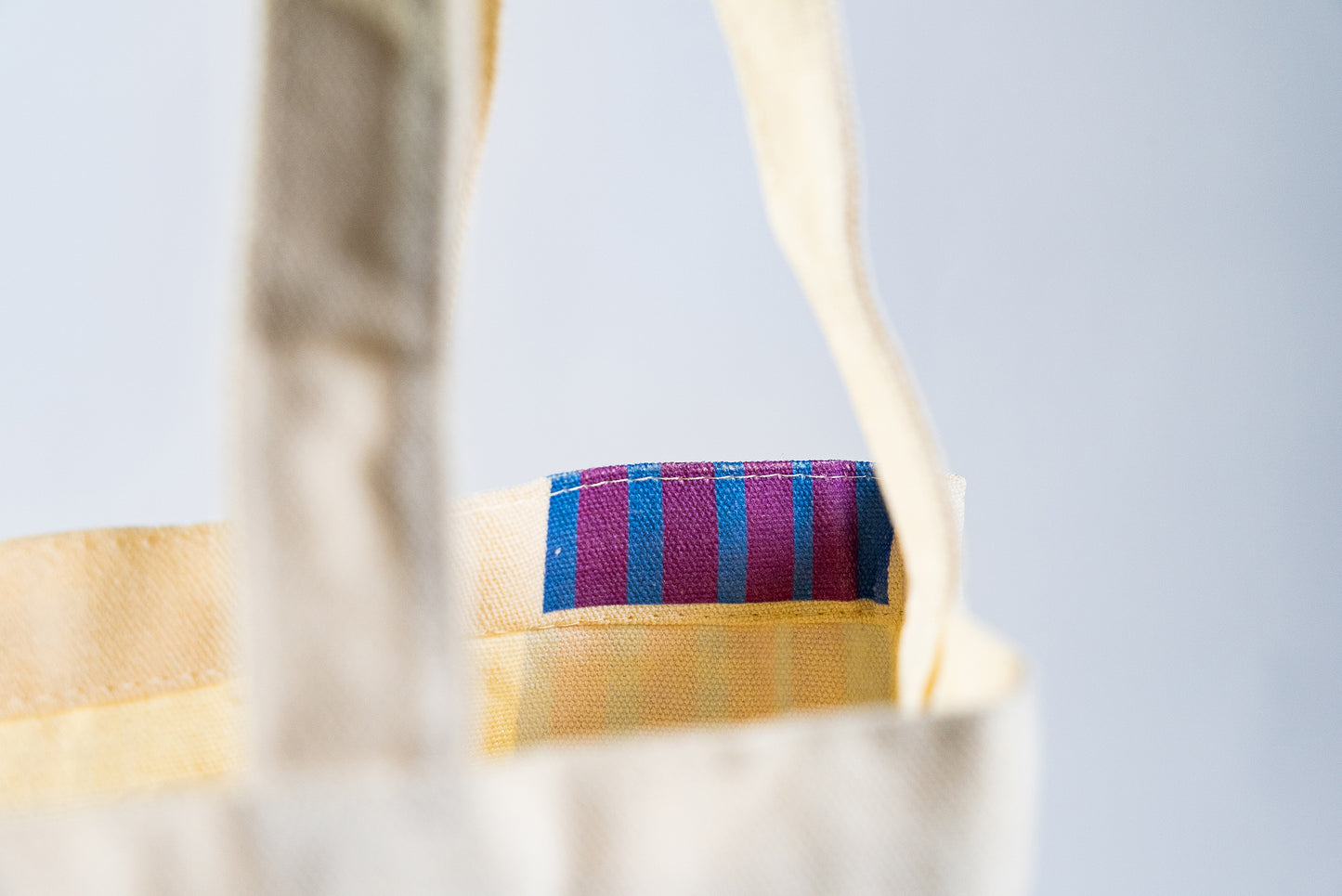 Louis Vuitton Exclusive: Limited Edition Canvas Eco Tote