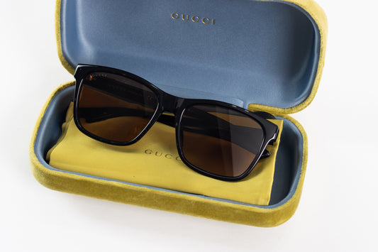 Coach Wayfair Tinted Sunglasses