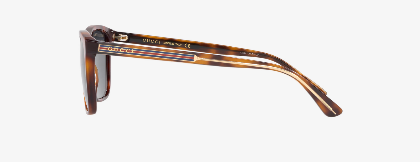 GUCCI Coach Wayfair Tinted Sunglasses