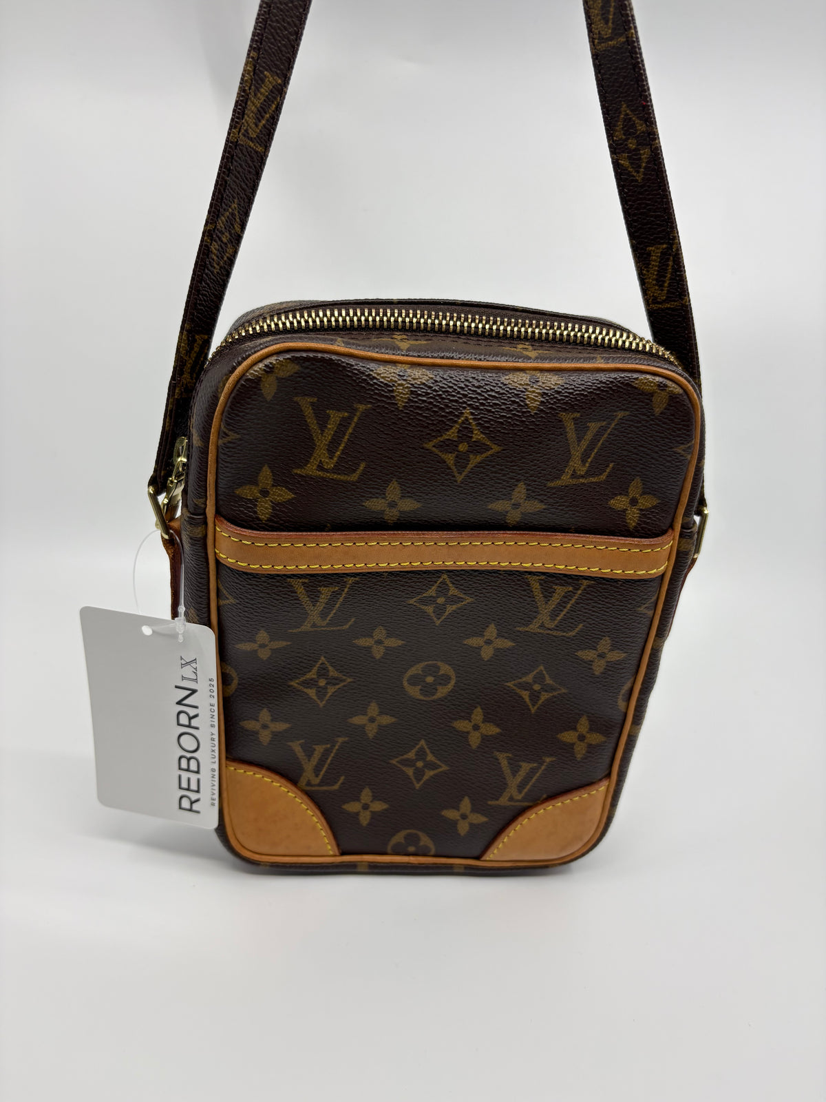 Louis Vuitton Monogram Danibe Crossbody Bag