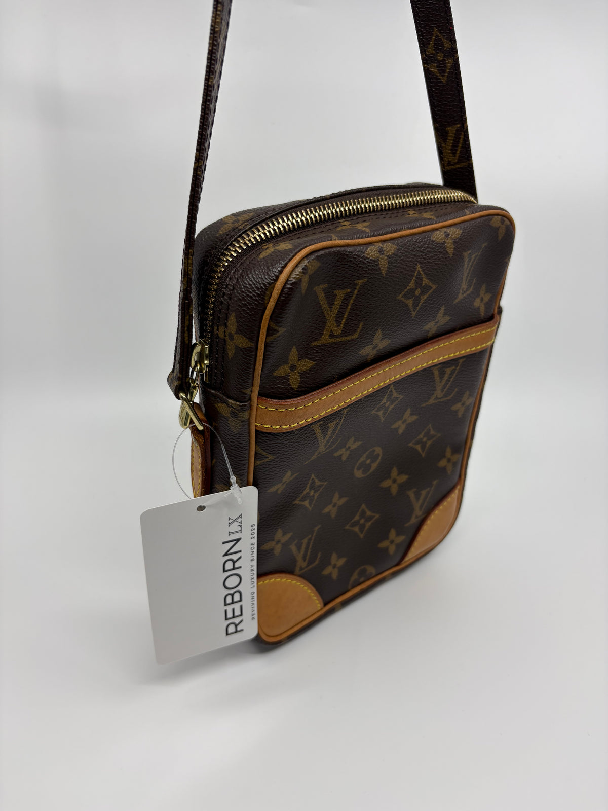 Louis Vuitton Monogram Danibe Crossbody Bag