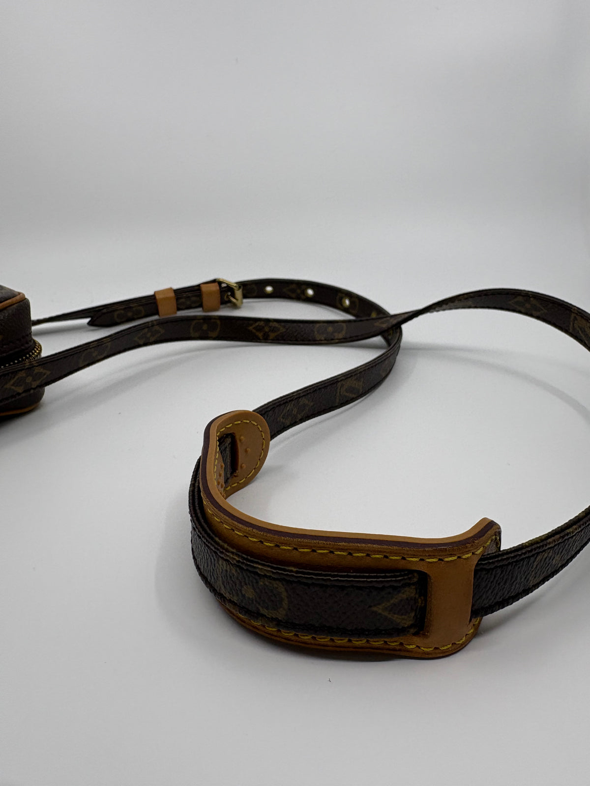 Louis Vuitton Monogram Danibe Crossbody Bag