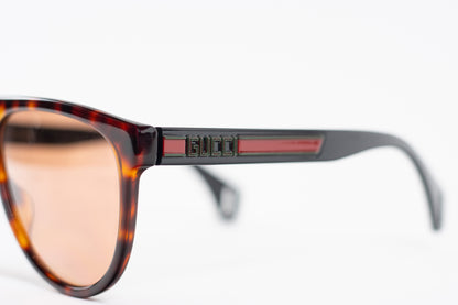 Gucci Coach Wayfair Tinted Sunglasses