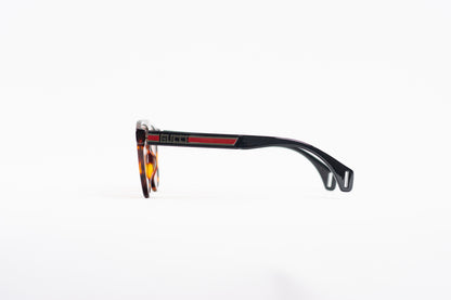 Gucci Coach Wayfair Tinted Sunglasses
