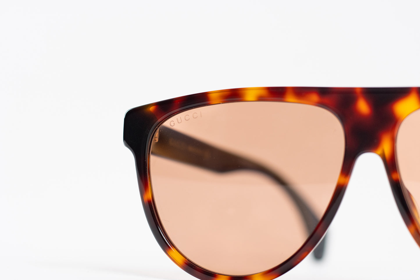 Gucci Coach Wayfair Tinted Sunglasses