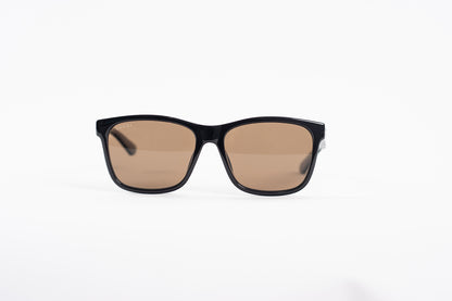 Coach Wayfair Tinted Sunglasses