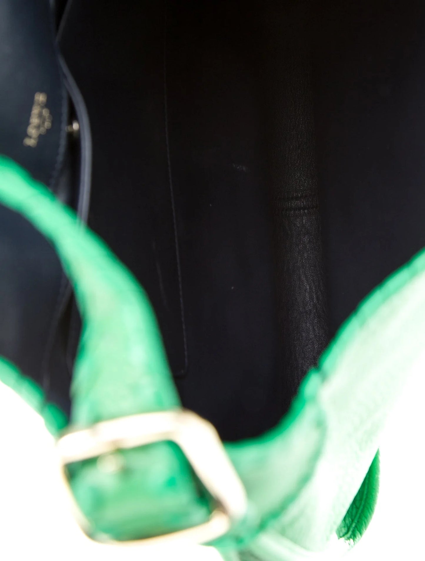 LOEWE Lizard-Trimmed Granada Bag